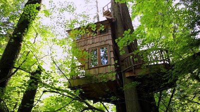 Ultimate Treehouses Season 1 Episode 4