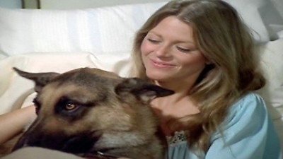 The Bionic Woman Classic Season 3 Episode 10