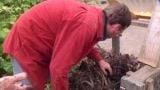 Bungalow and Composting