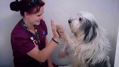 The Supervet Season 4 Episode 2