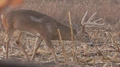 Whitetail Freaks Season 14 Episode 6