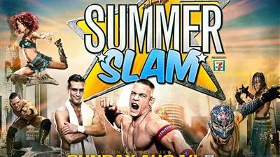 WWE Pay-Per-View Season 26 Episode 20