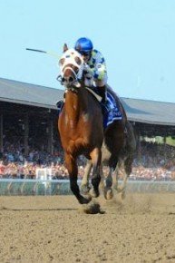 Horse Racing on NBC