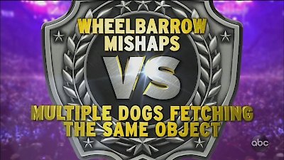 America's Funniest Home Videos Season 29 Episode 20