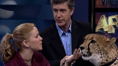 America's Funniest Home Videos Season 14 Episode 11