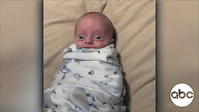 America's Funniest Home Videos Season 30 Episode 14