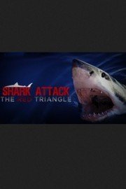 Shark Attack: The Red Triangle