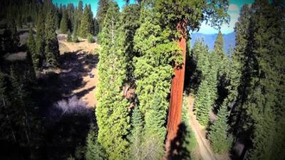 Redwood Kings Season 1 Episode 1