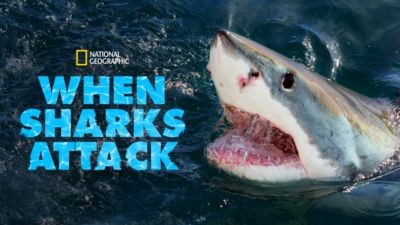 SharkFest Season 6 Episode 20