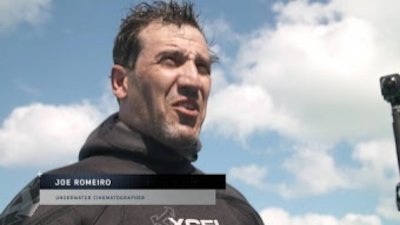 SharkFest Season 2 Episode 2