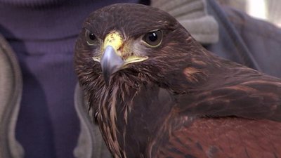 Magnificent Obsessions Season 1 Episode 46