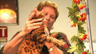 Magnificent Obsessions Season 1 Episode 48