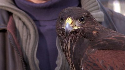 Magnificent Obsessions Season 1 Episode 42