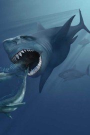 Megalodon: The Extended Cut