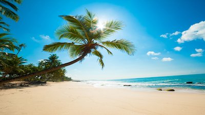 Wildest Islands Season 1 Episode 2