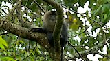 Western Ghats: Monsoon Mountains