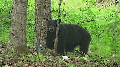 Alaska State Troopers Season 5 Episode 12