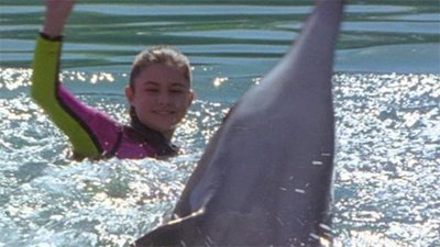 Flipper Season 4 Episode 26