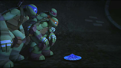 Teenage Mutant Ninja Turtles, Leo: Plan of Attack Season 1 Episode 4