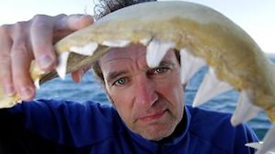 Operation Maneater Season 1 Episode 1