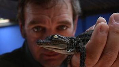 Operation Maneater Season 1 Episode 3