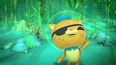 The Octonauts Season 1 Episode 11