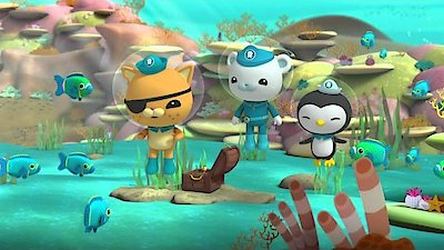 The Octonauts Season 1 Episode 45