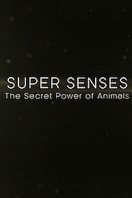 Super Senses: The Secret Power of Animals