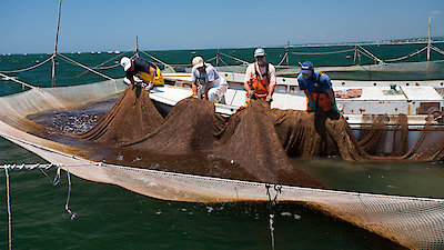 Food Forward Season 1 Episode 1