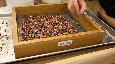 Food Forward Season 1 Episode 3