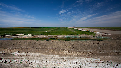 Food Forward Season 1 Episode 9