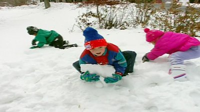 Teletubbies Season 5 Episode 511