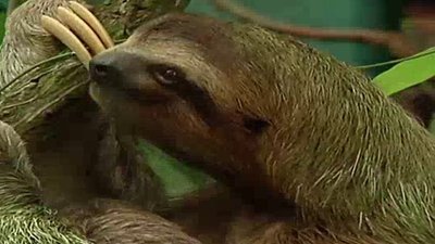 Xploration Animal Science Season 1 Episode 14