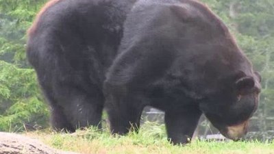 Xploration Animal Science Season 1 Episode 17