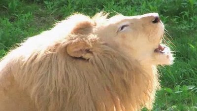 Xploration Animal Science Season 1 Episode 19