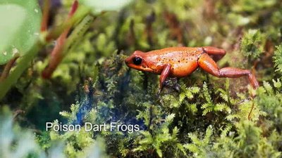 Xploration Awesome Planet Season 4 Episode 3