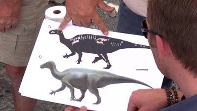 Xploration Awesome Planet Season 1 Episode 8