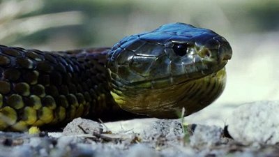 Xploration Awesome Planet Season 3 Episode 4