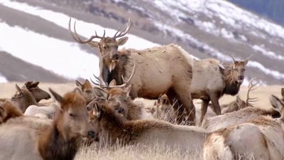 Xploration Awesome Planet Season 3 Episode 5