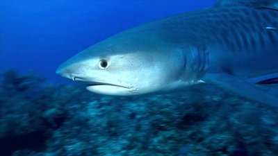 Xploration Awesome Planet Season 3 Episode 7