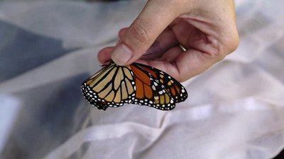 Xploration Awesome Planet Season 3 Episode 12