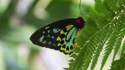 Xploration Awesome Planet Season 3 Episode 14