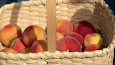 Farmhouse Rules Season 1 Episode 6