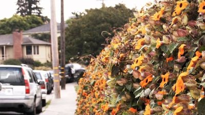 Young, Hot & Crooked Season 1 Episode 1