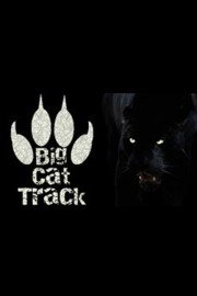Big Cat Track