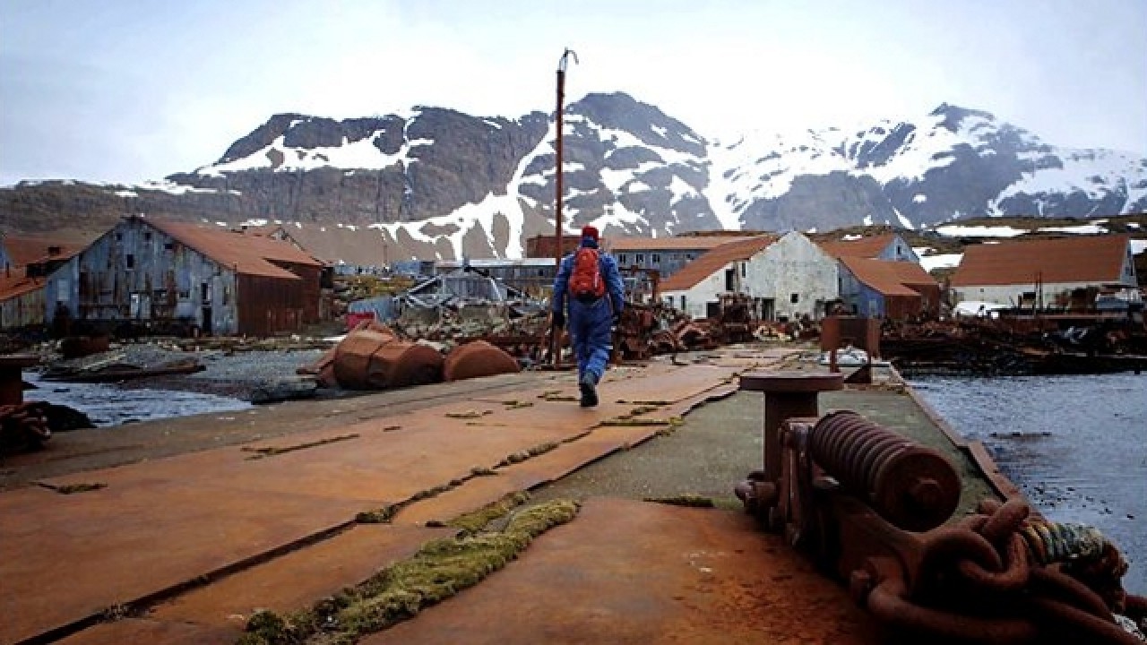 Whale Hunters: An Untold History