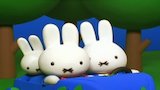 Miffy's Family Car Trip/Miffy and the Falling Leaves