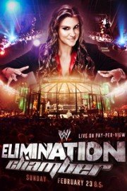WWE Elimination Chamber, 2014