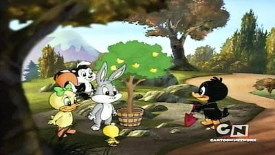 Watch Baby Looney Tunes Streaming Online - Yidio