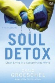 Soul Detox Video Bible Study